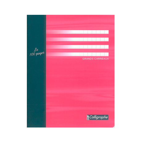 Cahier 100 pages sans Couverture